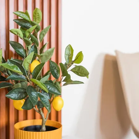 Pensjonat Guestready - Casa Ancora Aveiro